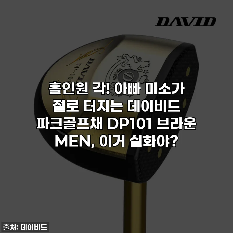 홀인원 각! 아빠 미소가 절로 터지는 데이비드 파크골프채 DP101 브라운 MEN, 이거 실화야?