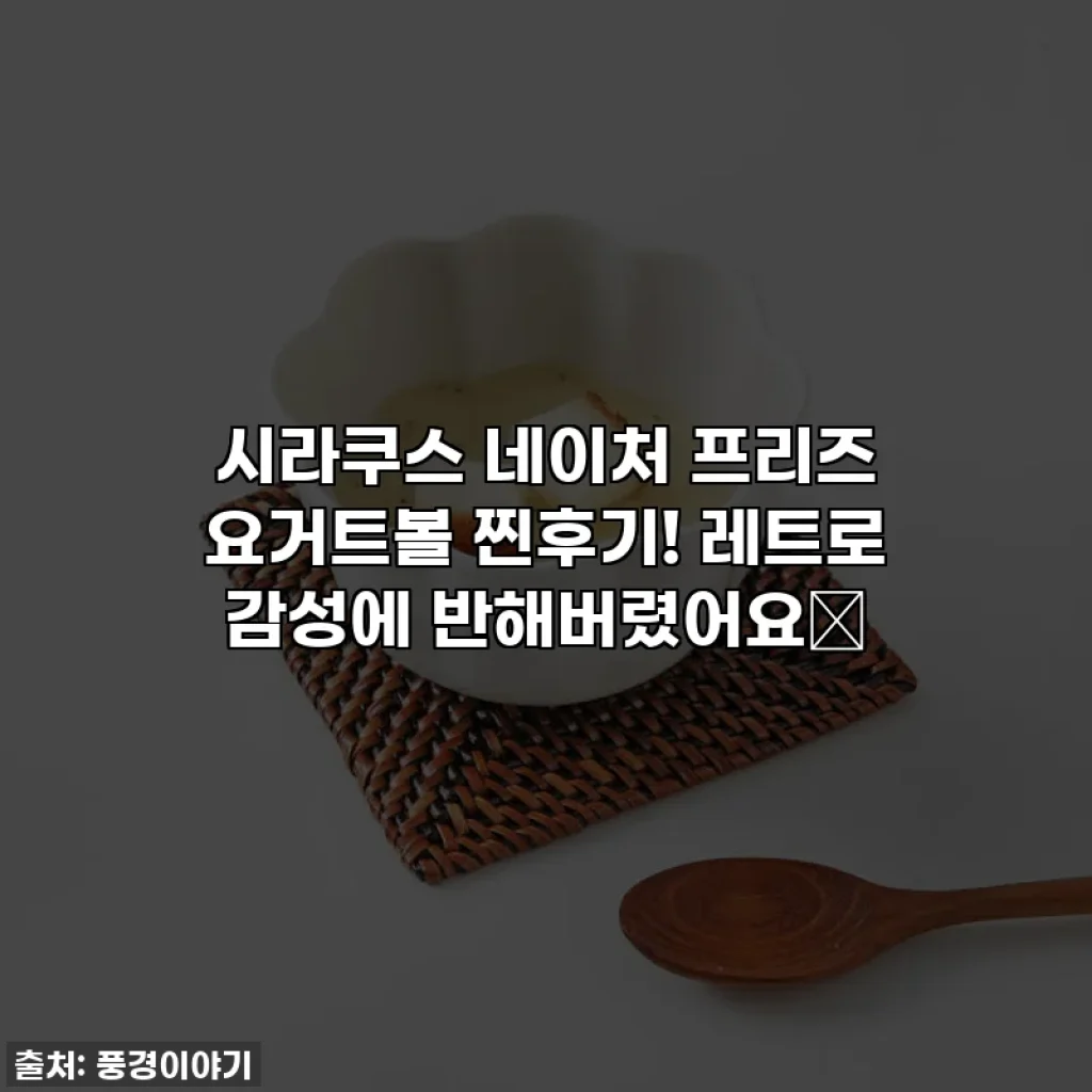 시라쿠스 네이처 프리즈 요거트볼 찐후기! 레트로 감성에 반해버렸어요💖