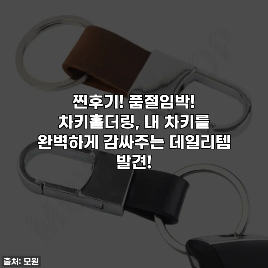 찐후기! 품절임박! 차키홀더링, 내 차키를 완벽하게 감싸주는 데일리템 발견!