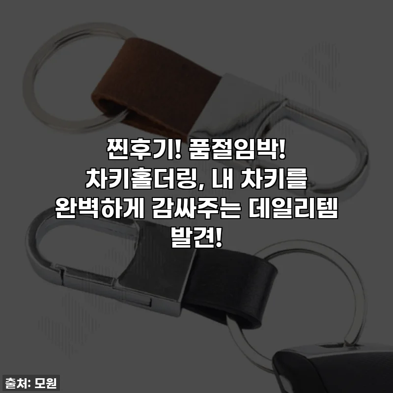 찐후기! 품절임박! 차키홀더링, 내 차키를 완벽하게 감싸주는 데일리템 발견!