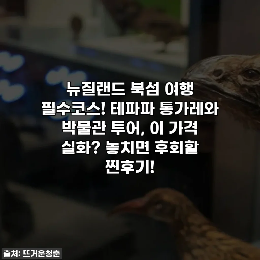 뉴질랜드 북섬 여행 필수코스! 테파파 통가레와 박물관 투어, 이 가격 실화? 놓치면 후회할 찐후기!