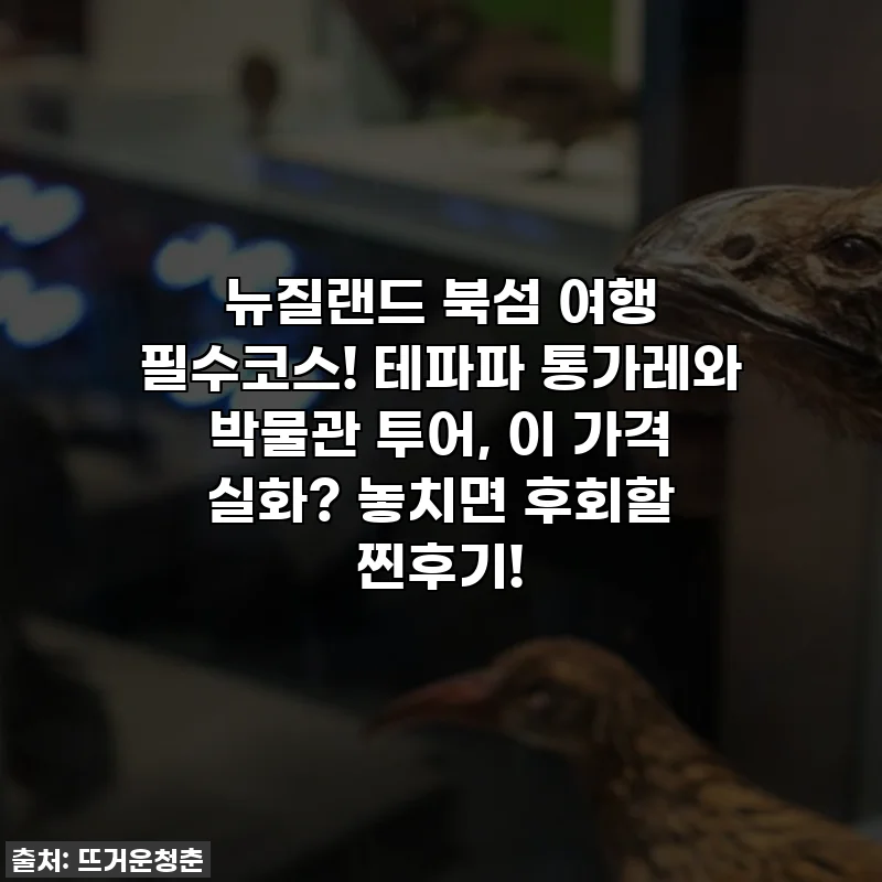 뉴질랜드 북섬 여행 필수코스! 테파파 통가레와 박물관 투어, 이 가격 실화? 놓치면 후회할 찐후기!