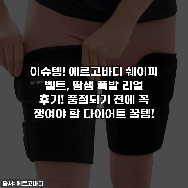 이슈템! 에르고바디 쉐이피 벨트, 땀샘 폭발 리얼 후기! 품절되기 전에 꼭 쟁여야 할 다이어트 꿀템!