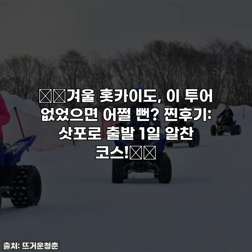 ❄️겨울 홋카이도, 이 투어 없었으면 어쩔 뻔? 찐후기: 삿포로 출발 1일 알찬 코스!⛄️