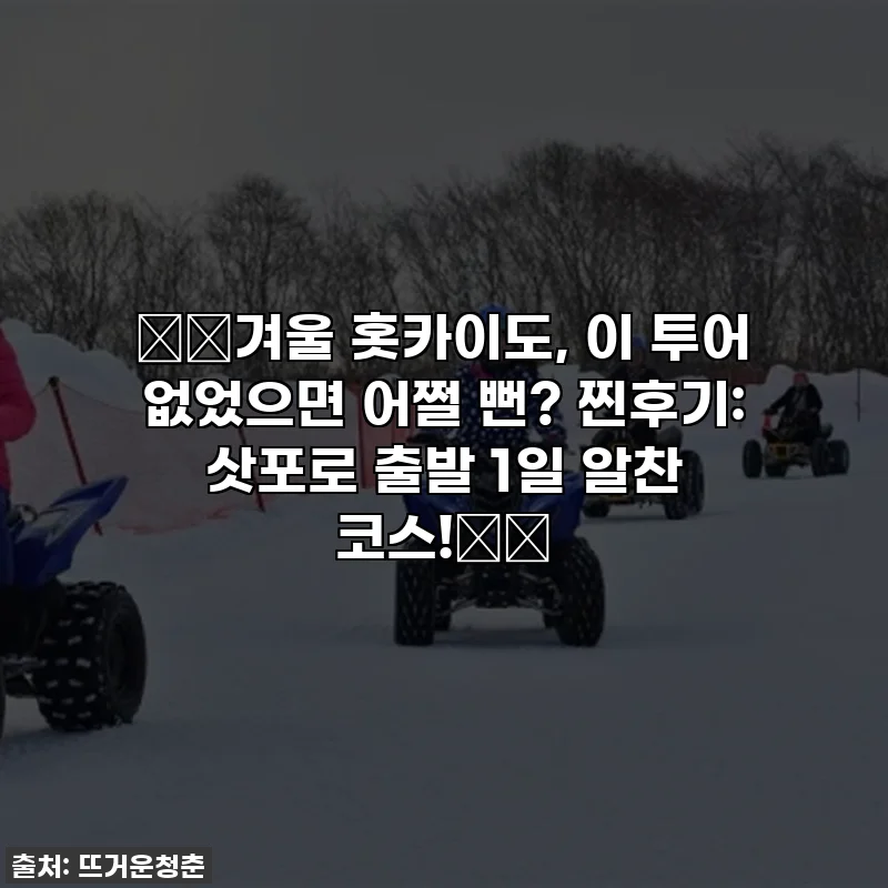 ❄️겨울 홋카이도, 이 투어 없었으면 어쩔 뻔? 찐후기: 삿포로 출발 1일 알찬 코스!⛄️