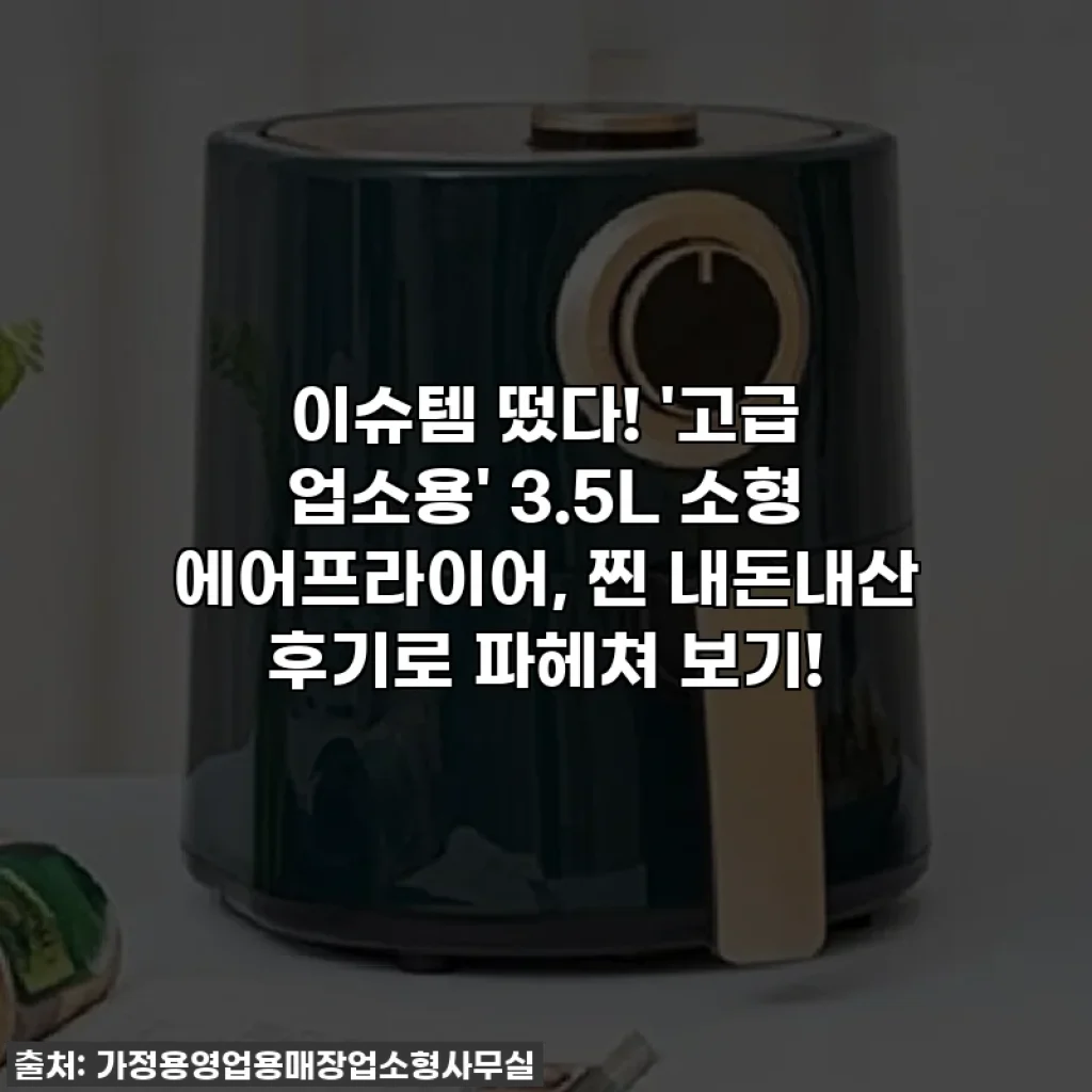 이슈템 떴다! '고급 업소용' 3.5L 소형 에어프라이어, 찐 내돈내산 후기로 파헤쳐 보기!