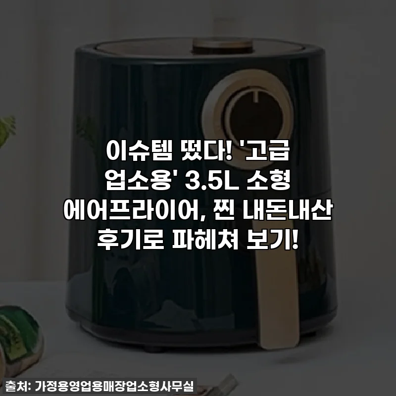 이슈템 떴다! '고급 업소용' 3.5L 소형 에어프라이어, 찐 내돈내산 후기로 파헤쳐 보기!