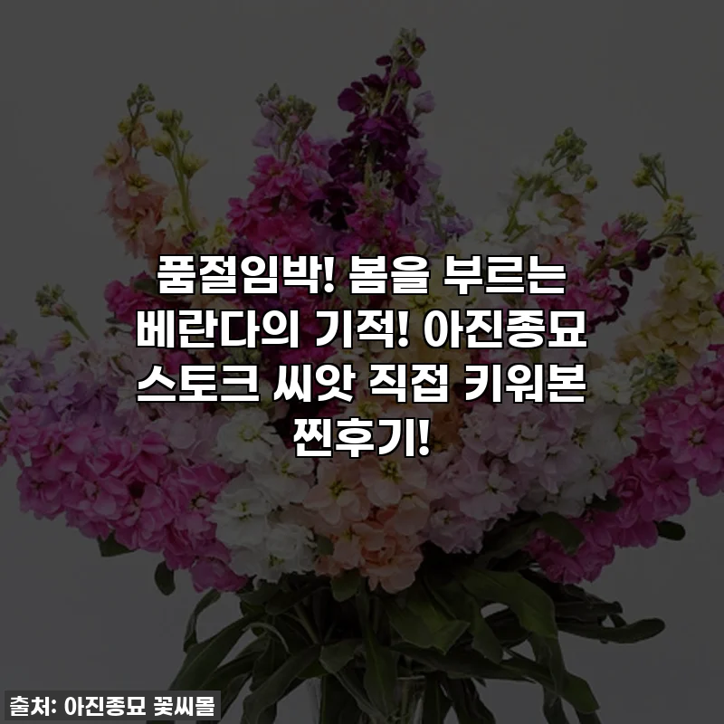 품절임박! 봄을 부르는 베란다의 기적! 아진종묘 스토크 씨앗 직접 키워본 찐후기!