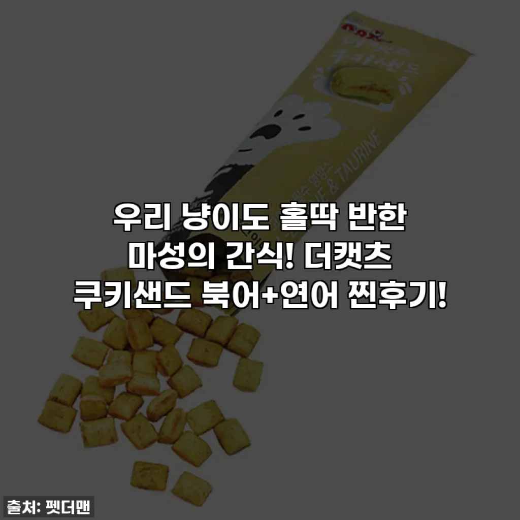 우리 냥이도 홀딱 반한 마성의 간식! 더캣츠 쿠키샌드 북어+연어 찐후기!