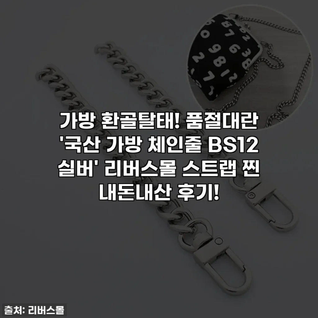 가방 환골탈태! 품절대란 '국산 가방 체인줄 BS12 실버' 리버스몰 스트랩 찐 내돈내산 후기!
