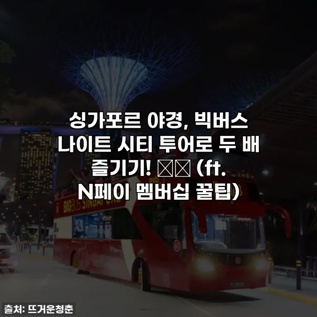 싱가포르 야경, 빅버스 나이트 시티 투어로 두 배 즐기기! 🌃✨ (ft. N페이 멤버십 꿀팁)