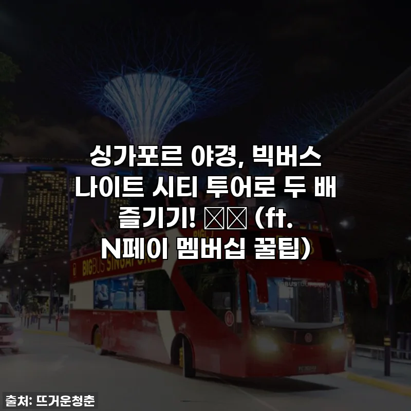싱가포르 야경, 빅버스 나이트 시티 투어로 두 배 즐기기! 🌃✨ (ft. N페이 멤버십 꿀팁)