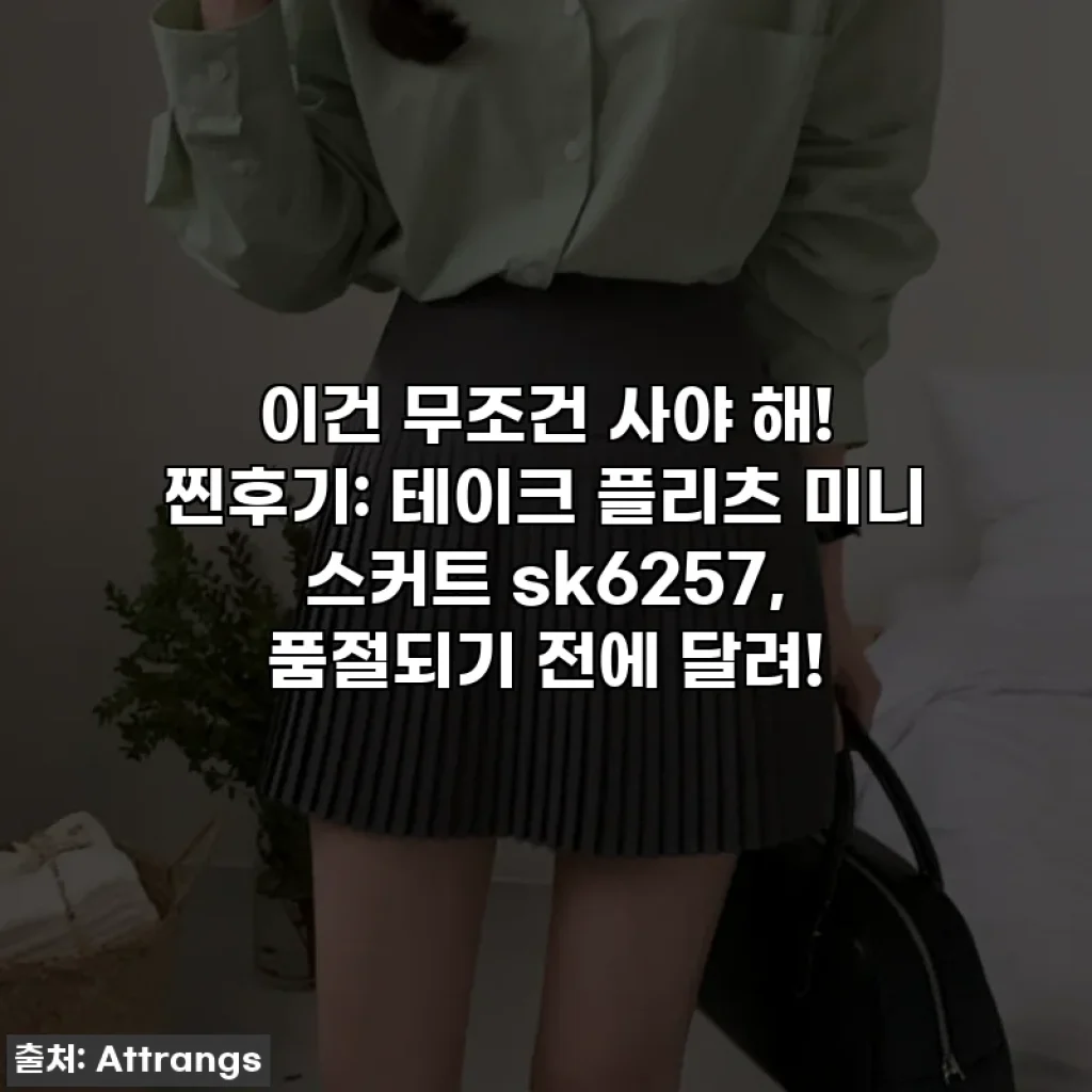이건 무조건 사야 해! 찐후기: 테이크 플리츠 미니 스커트 sk6257, 품절되기 전에 달려!