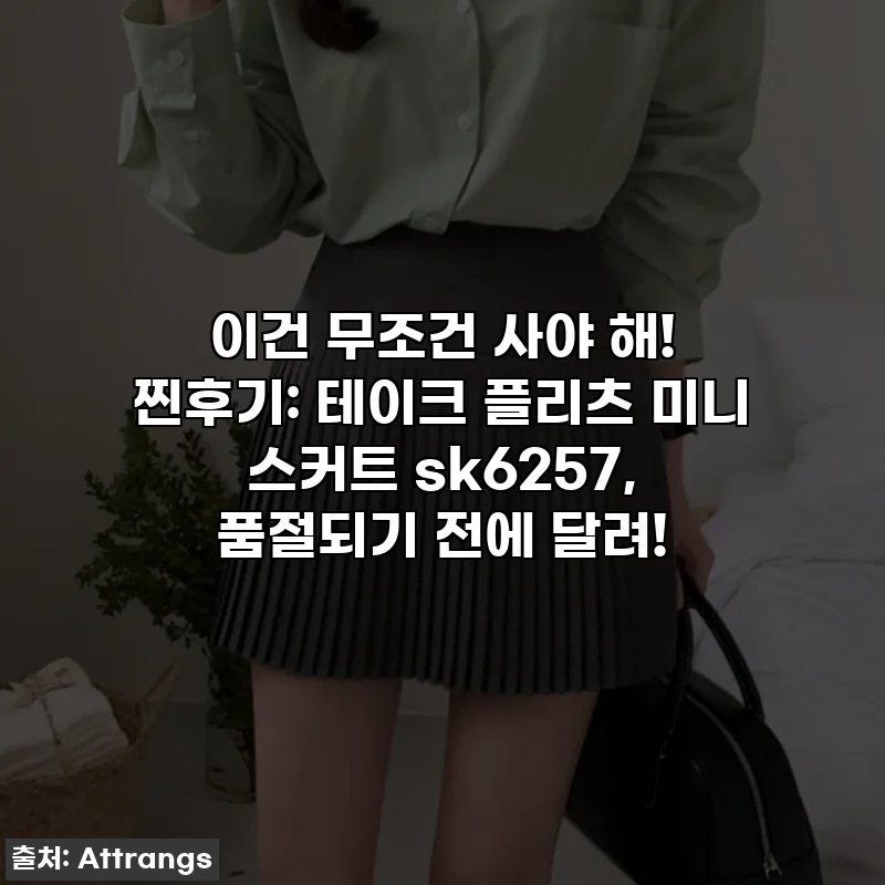이건 무조건 사야 해! 찐후기: 테이크 플리츠 미니 스커트 sk6257, 품절되기 전에 달려!