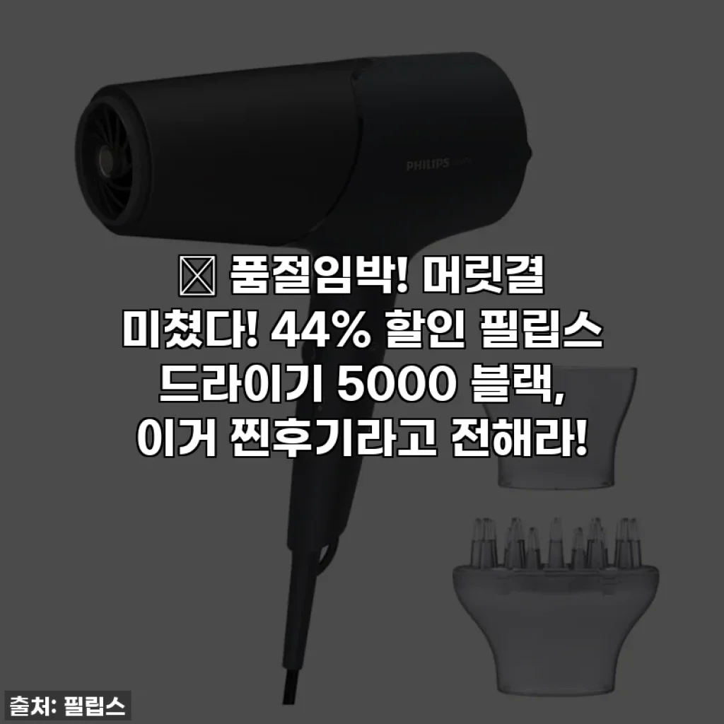 🚨 품절임박! 머릿결 미쳤다! 44% 할인 필립스 드라이기 5000 블랙, 이거 찐후기라고 전해라!