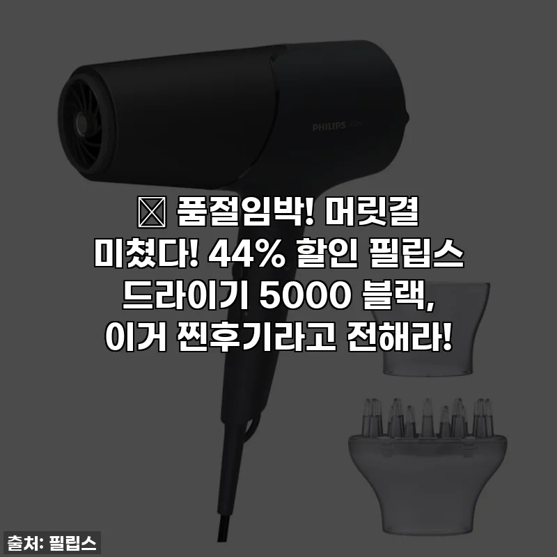 🚨 품절임박! 머릿결 미쳤다! 44% 할인 필립스 드라이기 5000 블랙, 이거 찐후기라고 전해라!