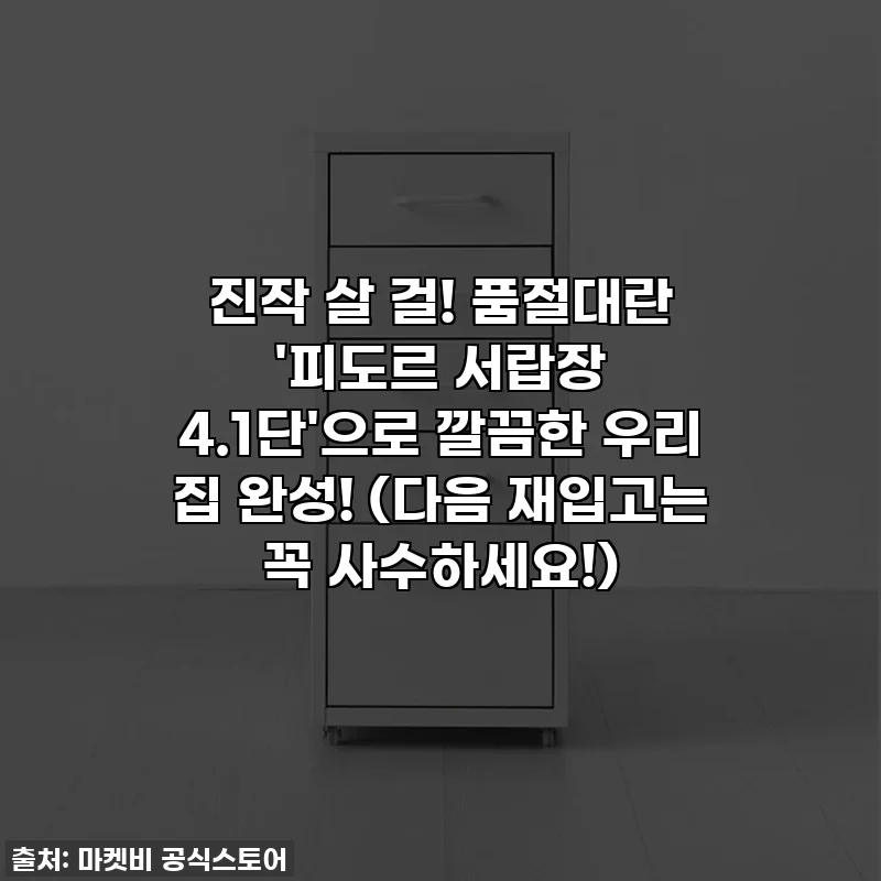 진작 살 걸! 품절대란 '피도르 서랍장 4.1단'으로 깔끔한 우리 집 완성! (다음 재입고는 꼭 사수하세요!)