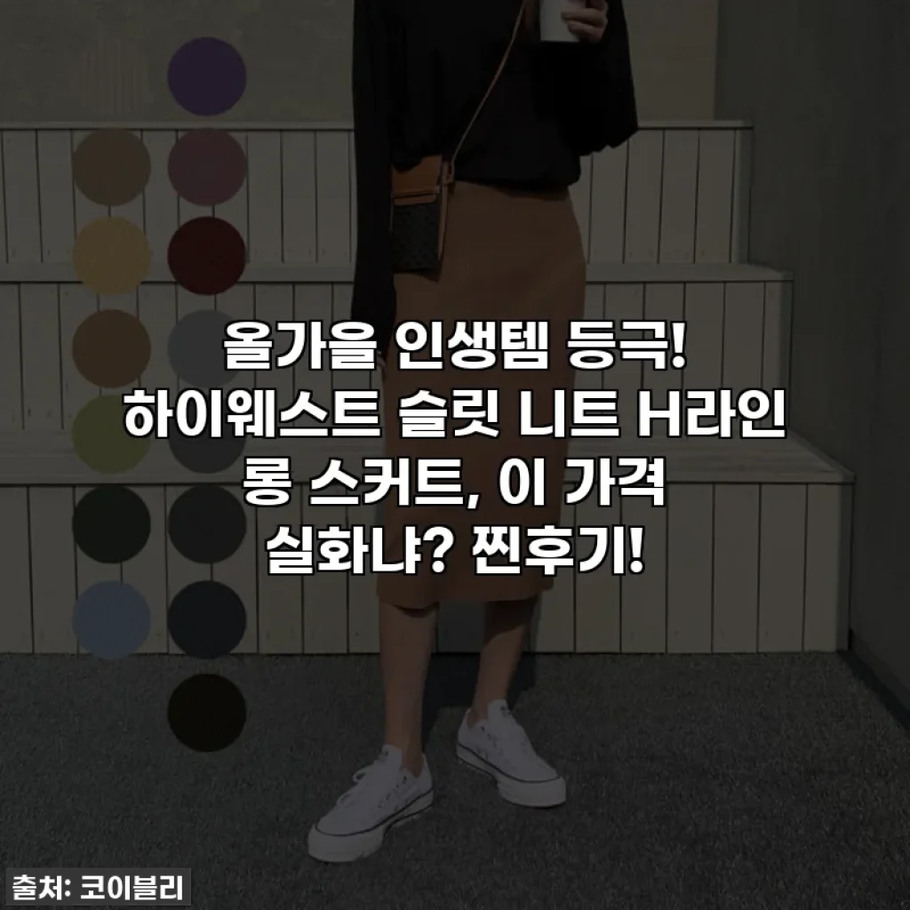 올가을 인생템 등극! 하이웨스트 슬릿 니트 H라인 롱 스커트, 이 가격 실화냐? 찐후기!