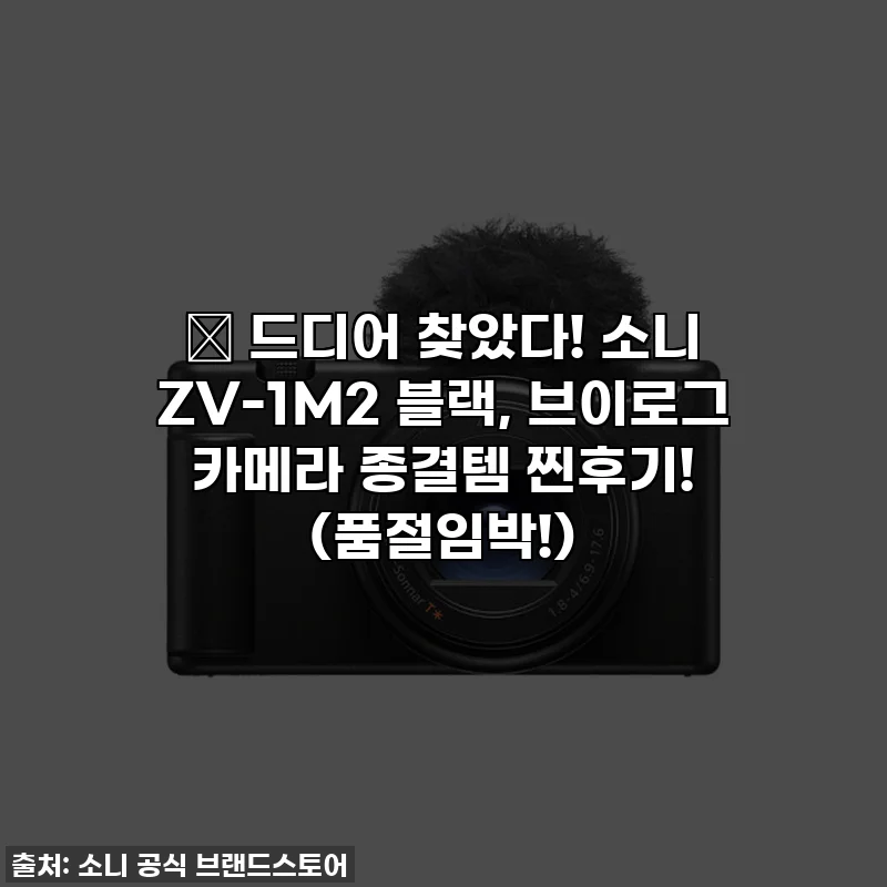 🔥 드디어 찾았다! 소니 ZV-1M2 블랙, 브이로그 카메라 종결템 찐후기! (품절임박!)