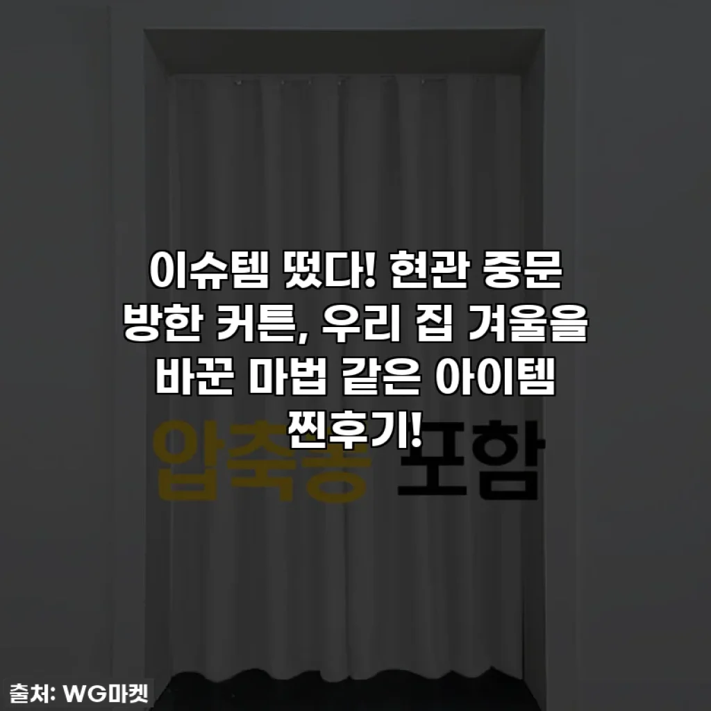 이슈템 떴다! 현관 중문 방한 커튼, 우리 집 겨울을 바꾼 마법 같은 아이템 찐후기!