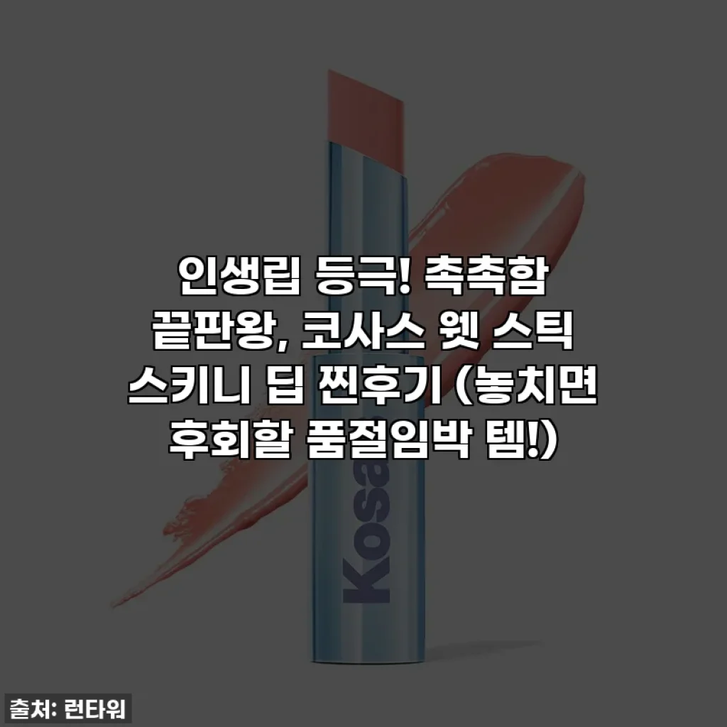 인생립 등극! 촉촉함 끝판왕, 코사스 웻 스틱 스키니 딥 찐후기 (놓치면 후회할 품절임박 템!)
