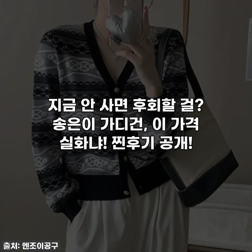지금 안 사면 후회할 걸? 송은이 가디건, 이 가격 실화냐! 찐후기 공개!