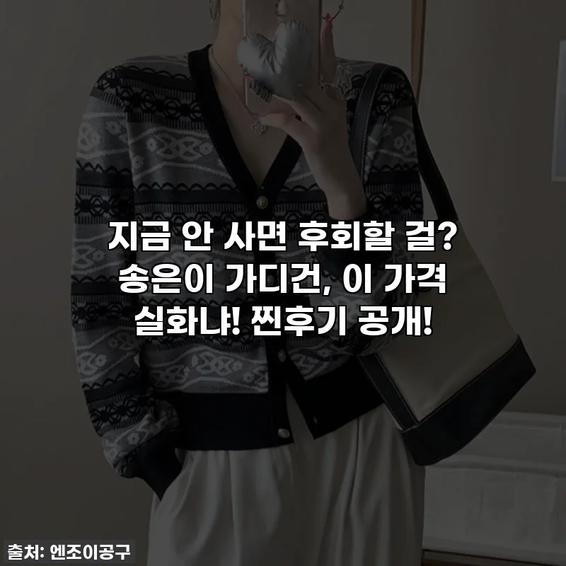 지금 안 사면 후회할 걸? 송은이 가디건, 이 가격 실화냐! 찐후기 공개!