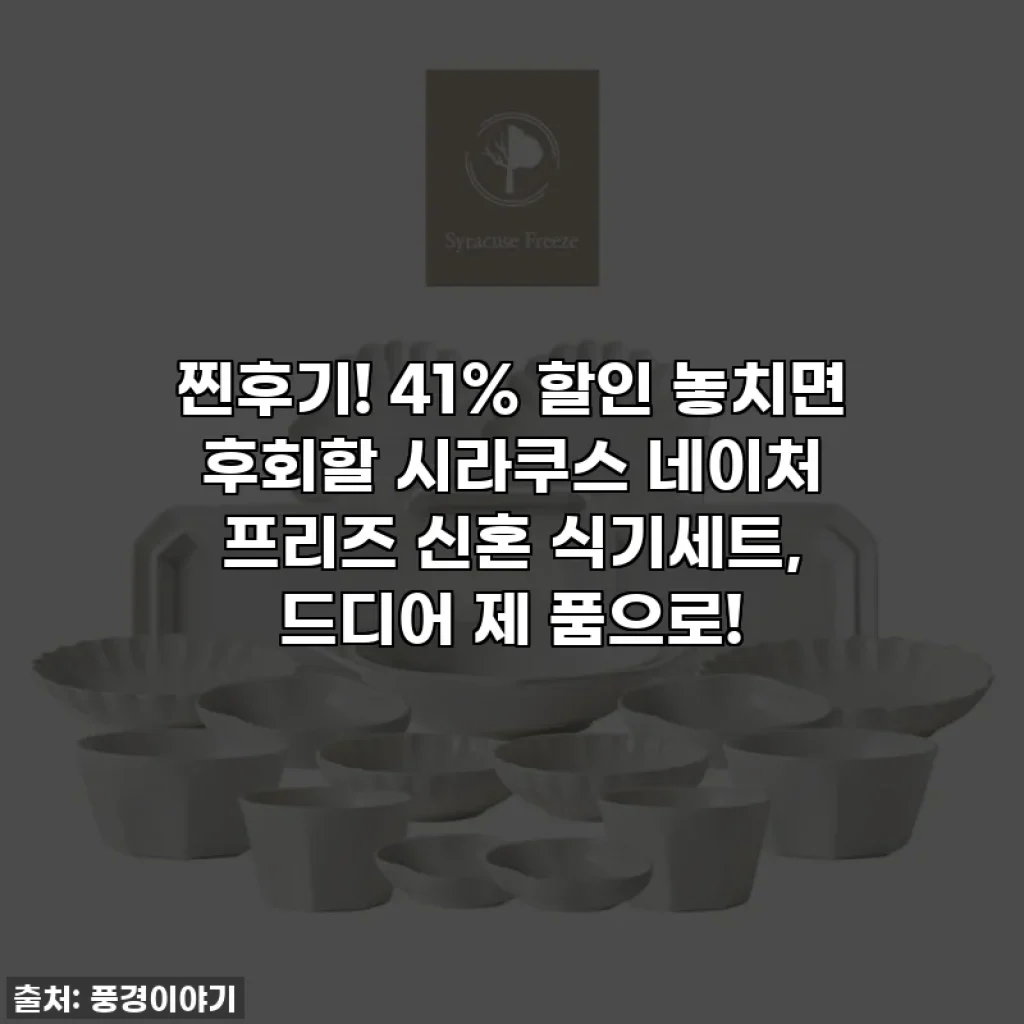 찐후기! 41% 할인 놓치면 후회할 시라쿠스 네이처 프리즈 신혼 식기세트, 드디어 제 품으로!
