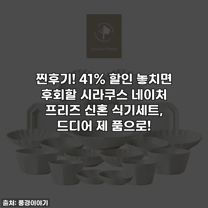 찐후기! 41% 할인 놓치면 후회할 시라쿠스 네이처 프리즈 신혼 식기세트, 드디어 제 품으로!