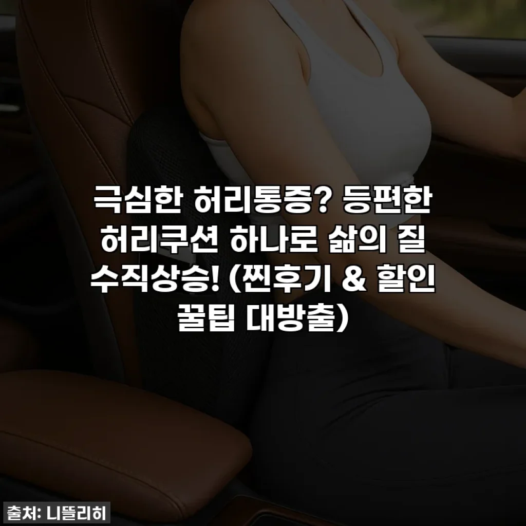 극심한 허리통증? 등편한 허리쿠션 하나로 삶의 질 수직상승! (찐후기 & 할인 꿀팁 대방출)