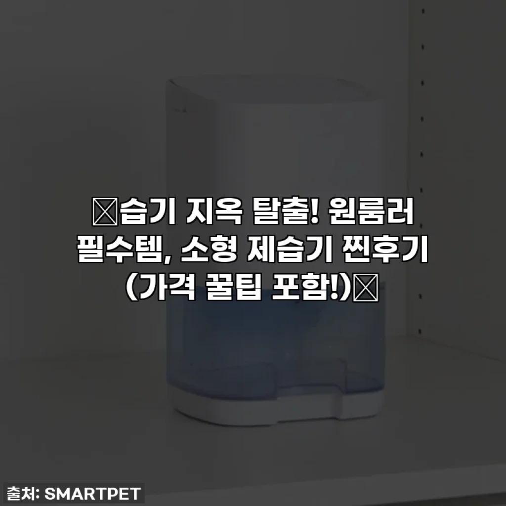 🔥습기 지옥 탈출! 원룸러 필수템, 소형 제습기 찐후기 (가격 꿀팁 포함!)🔥