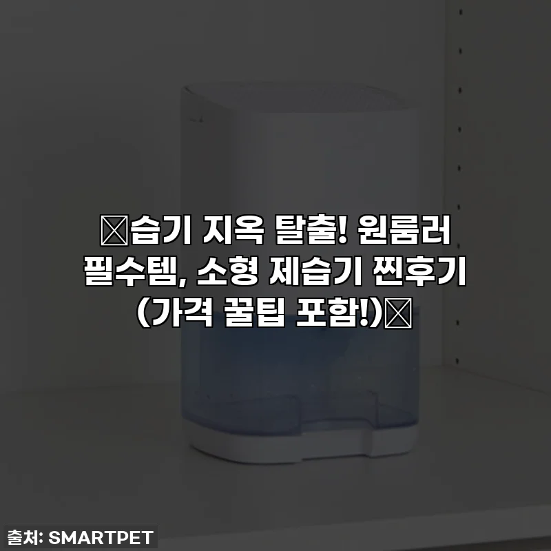 🔥습기 지옥 탈출! 원룸러 필수템, 소형 제습기 찐후기 (가격 꿀팁 포함!)🔥