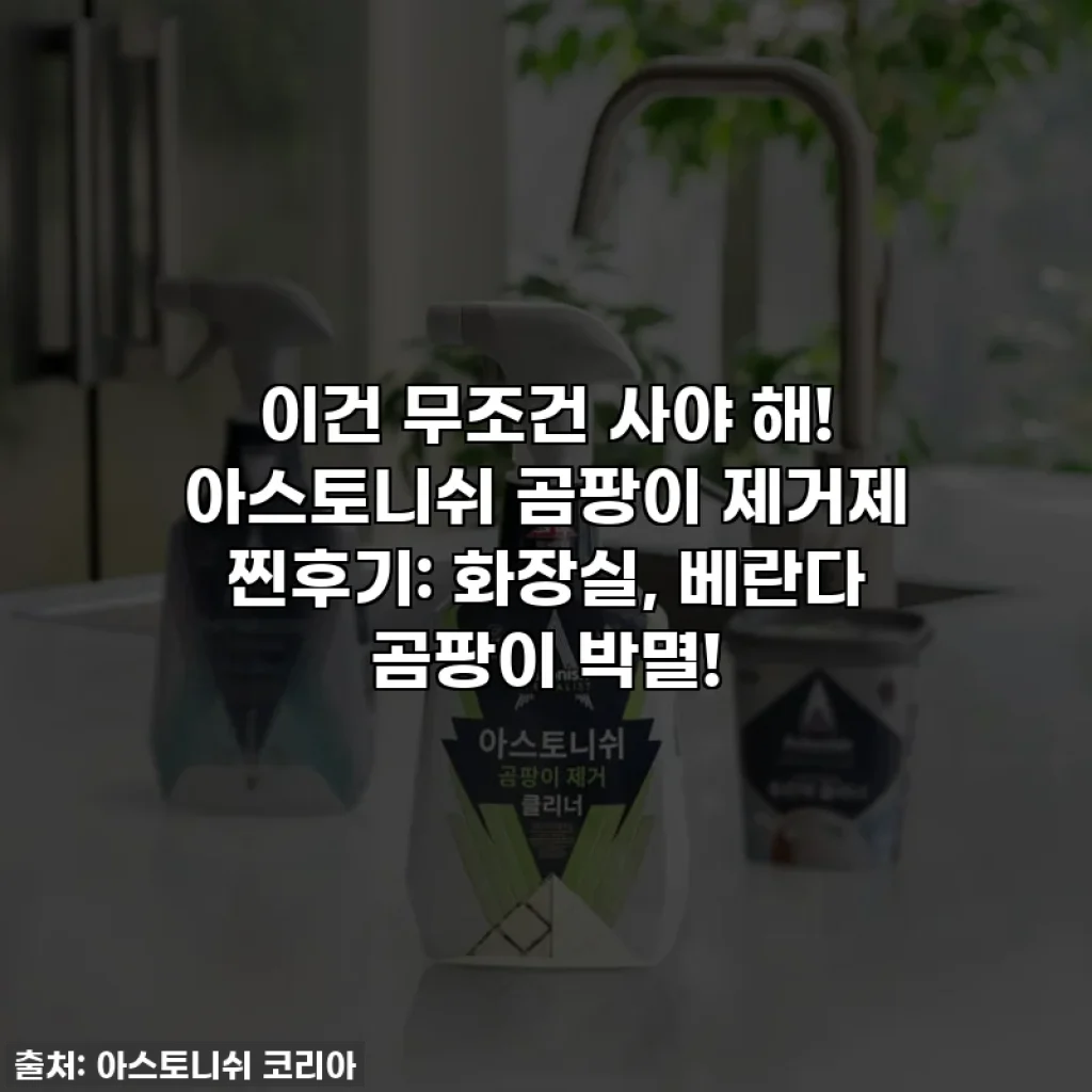 이건 무조건 사야 해! 아스토니쉬 곰팡이 제거제 찐후기: 화장실, 베란다 곰팡이 박멸!