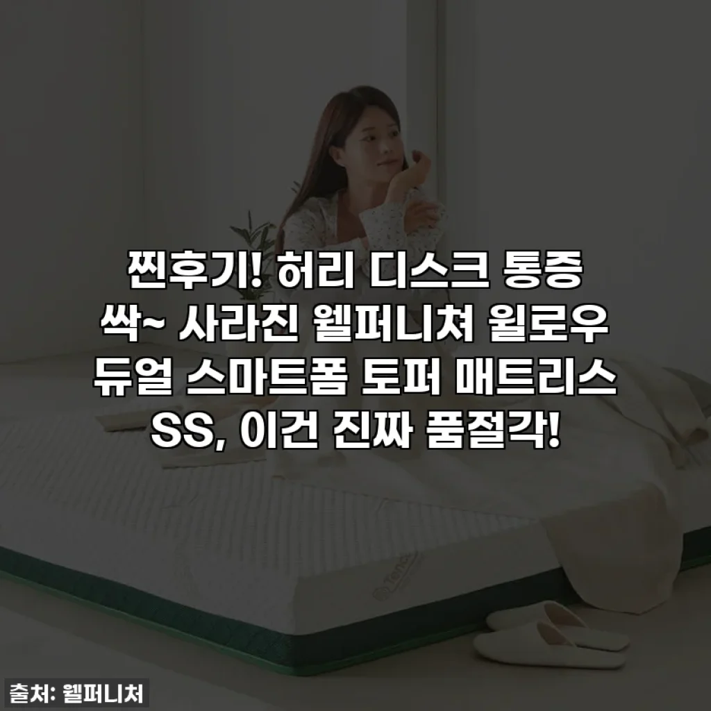 찐후기! 허리 디스크 통증 싹~ 사라진 웰퍼니쳐 윌로우 듀얼 스마트폼 토퍼 매트리스 SS, 이건 진짜 품절각!