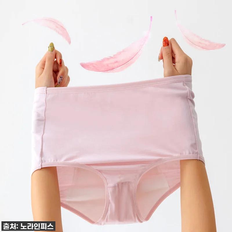 [2+1] 위생 팬티 생리 샘방지 방 관련 이미지 2