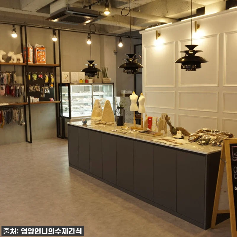 우리집 댕댕이 입맛 확 사로잡은! 영 관련 이미지 2