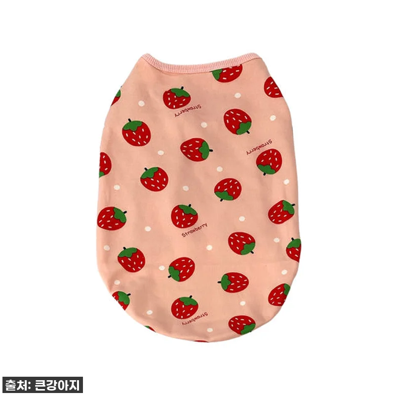 이건 무조건 사야 해! 🐾 우리집 댕 관련 이미지 4