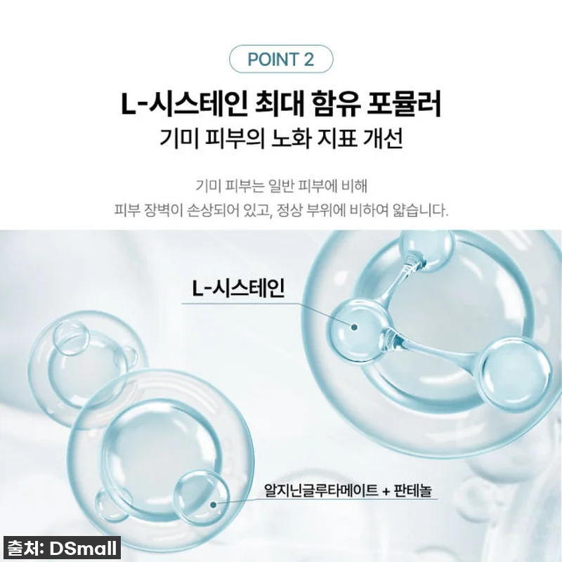 기미와의 전쟁, 드디어 종결?! 도미 관련 이미지 4