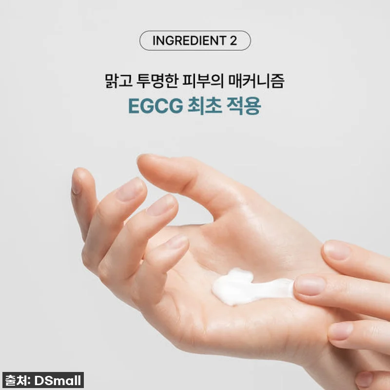 기미와의 전쟁, 드디어 종결?! 도미 관련 이미지 7