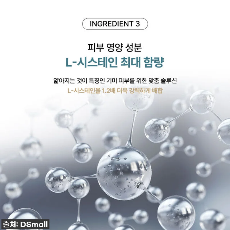 기미와의 전쟁, 드디어 종결?! 도미 관련 이미지 8