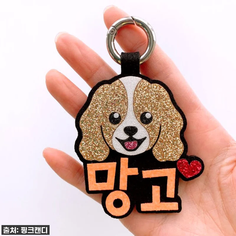 이 가격 실화? 강아지이름표, 우리 관련 이미지 8