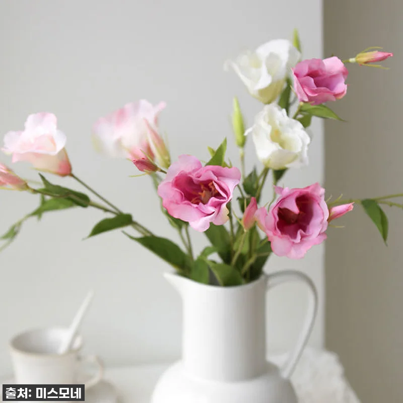 이 가격 실화?! 까사 북유럽 도자기 관련 이미지 9