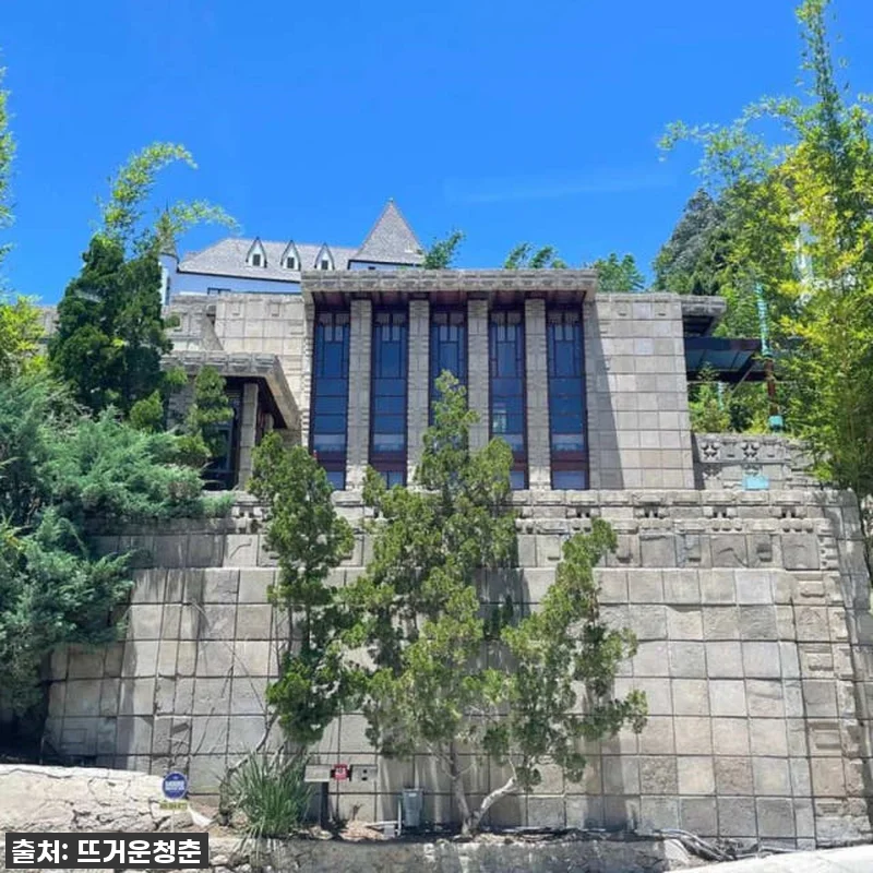 미국 로스앤젤레스 반나절 투어 | 비 관련 이미지 9