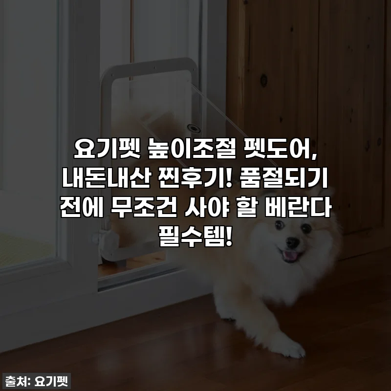 요기펫 높이조절 펫도어, 내돈내산 찐후기! 품절되기 전에 무조건 사야 할 베란다 필수템!