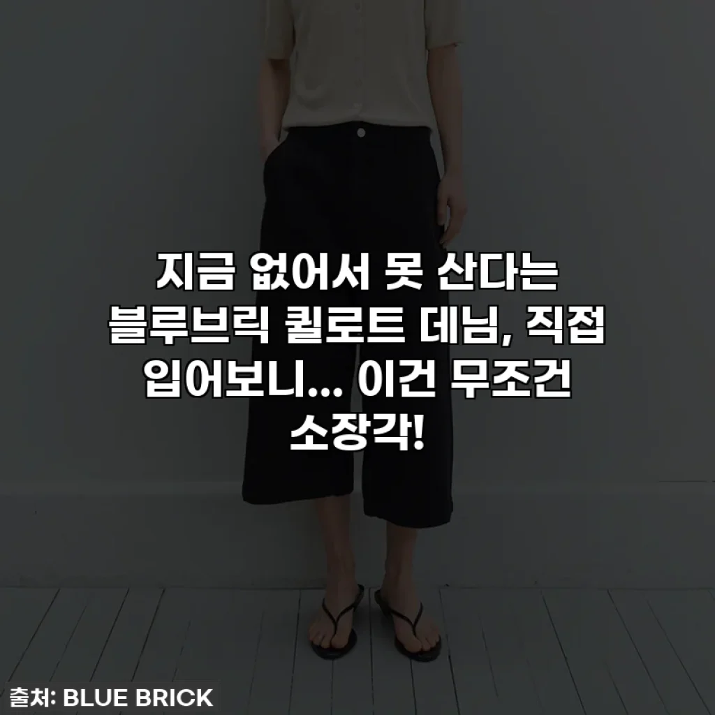 지금 없어서 못 산다는 블루브릭 퀼로트 데님, 직접 입어보니... 이건 무조건 소장각!