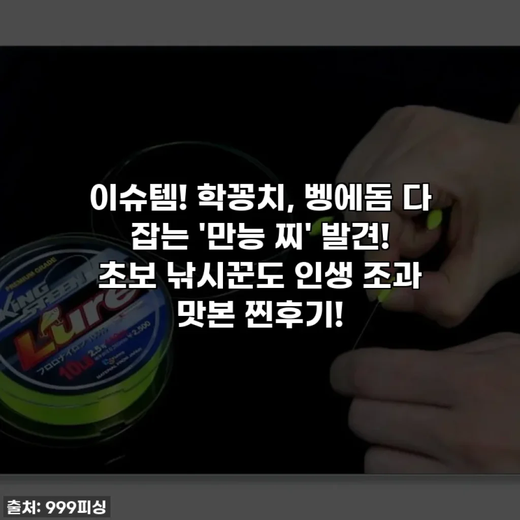 이슈템! 학꽁치, 벵에돔 다 잡는 '만능 찌' 발견! 초보 낚시꾼도 인생 조과 맛본 찐후기!