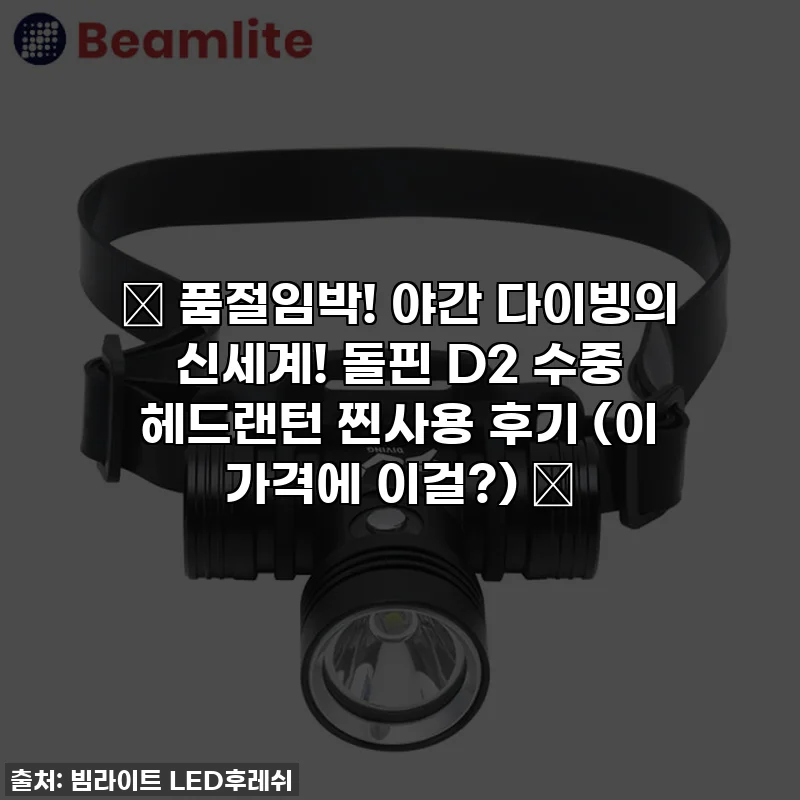 ✨ 품절임박! 야간 다이빙의 신세계! 돌핀 D2 수중 헤드랜턴 찐사용 후기 (이 가격에 이걸?) ✨