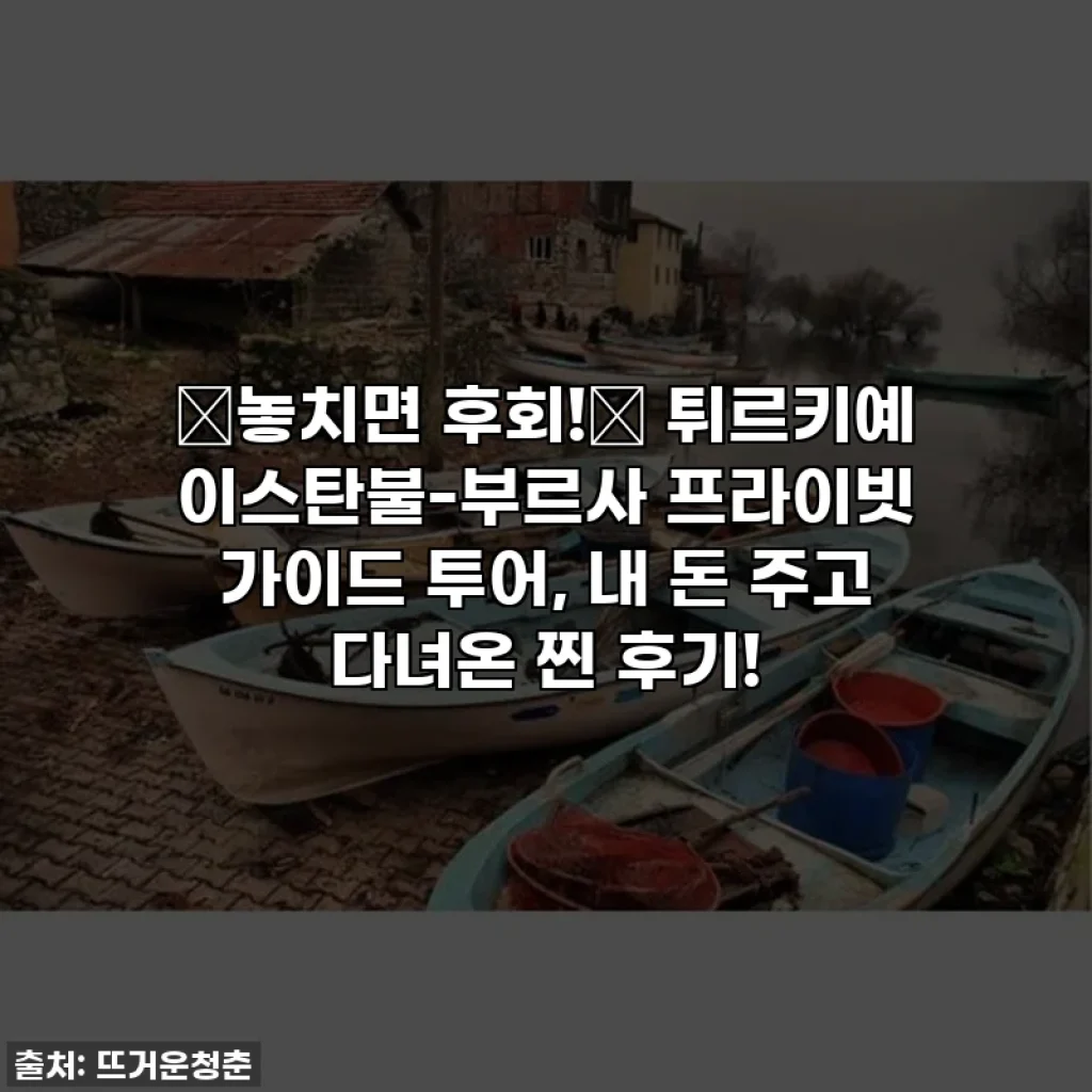 ⭐놓치면 후회!⭐ 튀르키예 이스탄불-부르사 프라이빗 가이드 투어, 내 돈 주고 다녀온 찐 후기!