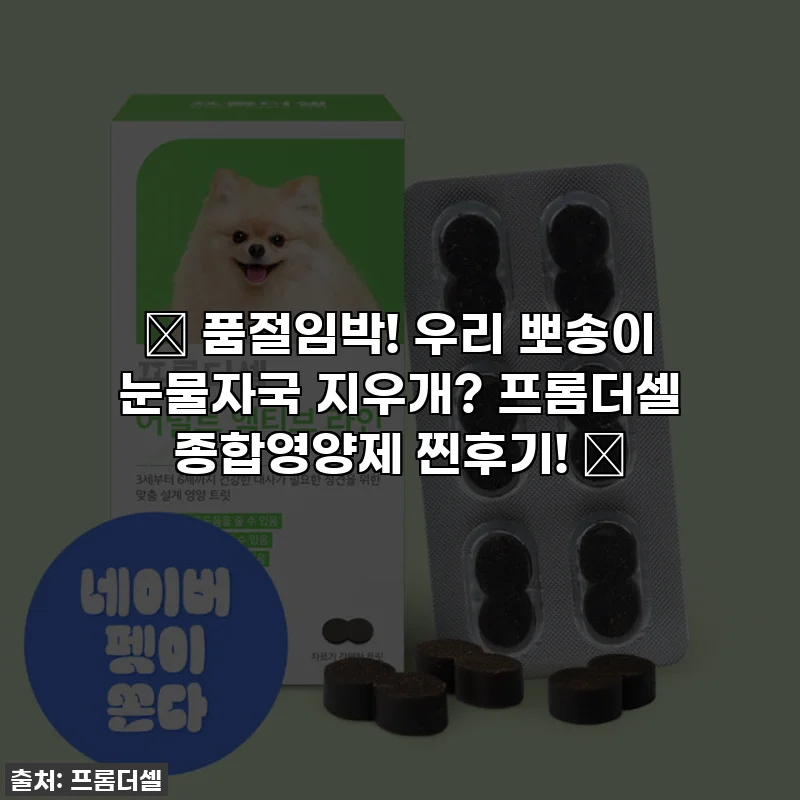 🚨 품절임박! 우리 뽀송이 눈물자국 지우개? 프롬더셀 종합영양제 찐후기! 🚨