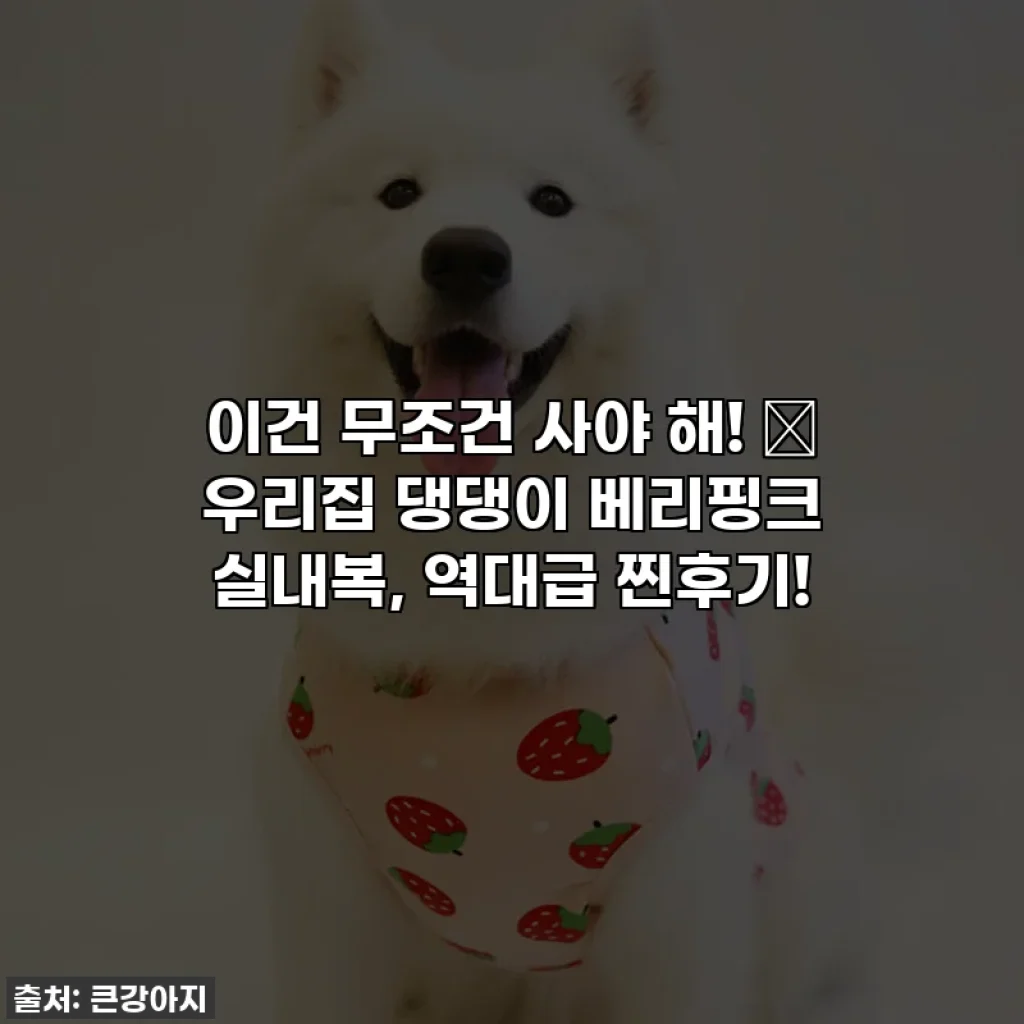 이건 무조건 사야 해! 🐾 우리집 댕댕이 베리핑크 실내복, 역대급 찐후기!